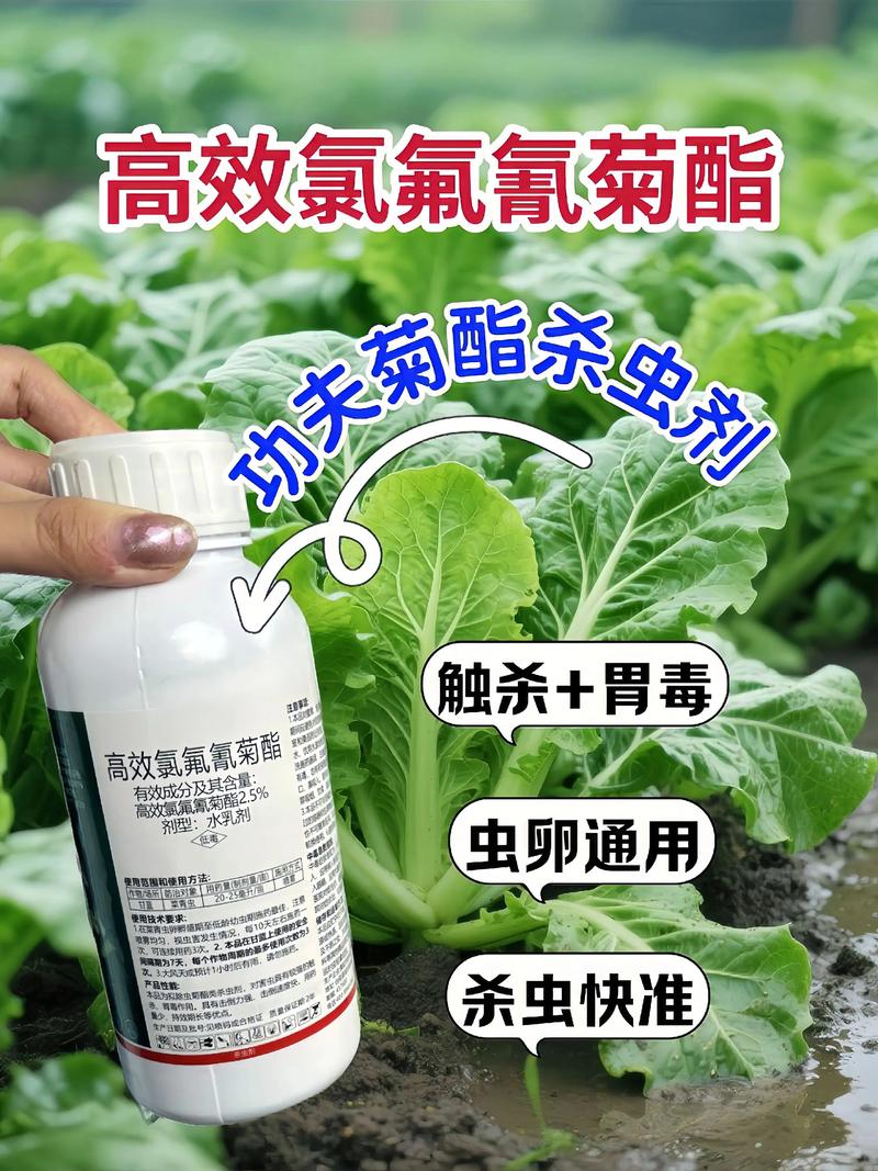 呼伦贝尔代生中心:农药对供卵代生妈妈的危害